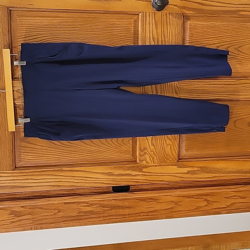 Womens Eddie Bauer ankle pants in navy size medium.